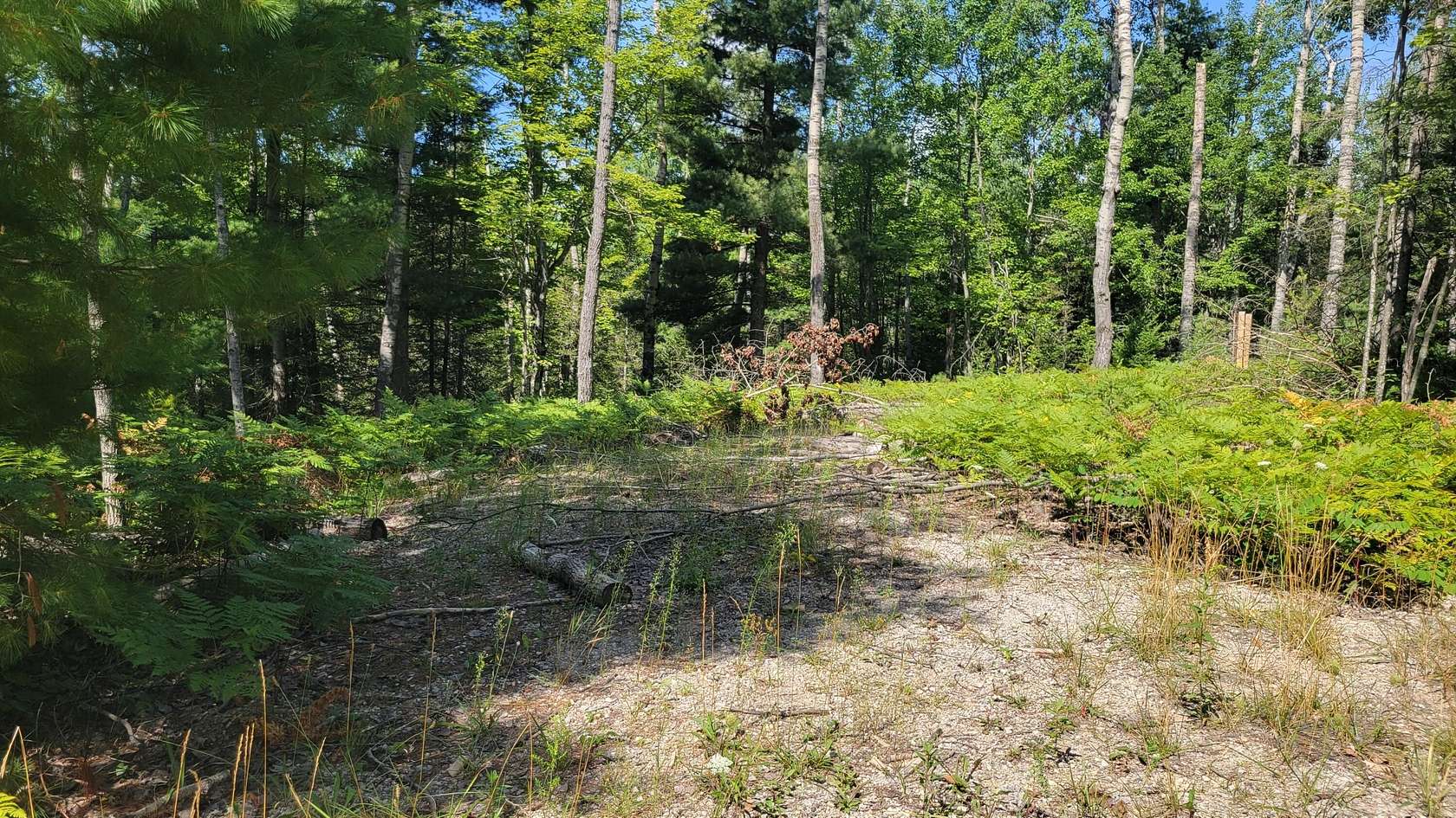 0.33 Acres of Land for Sale in Wolverine, Michigan