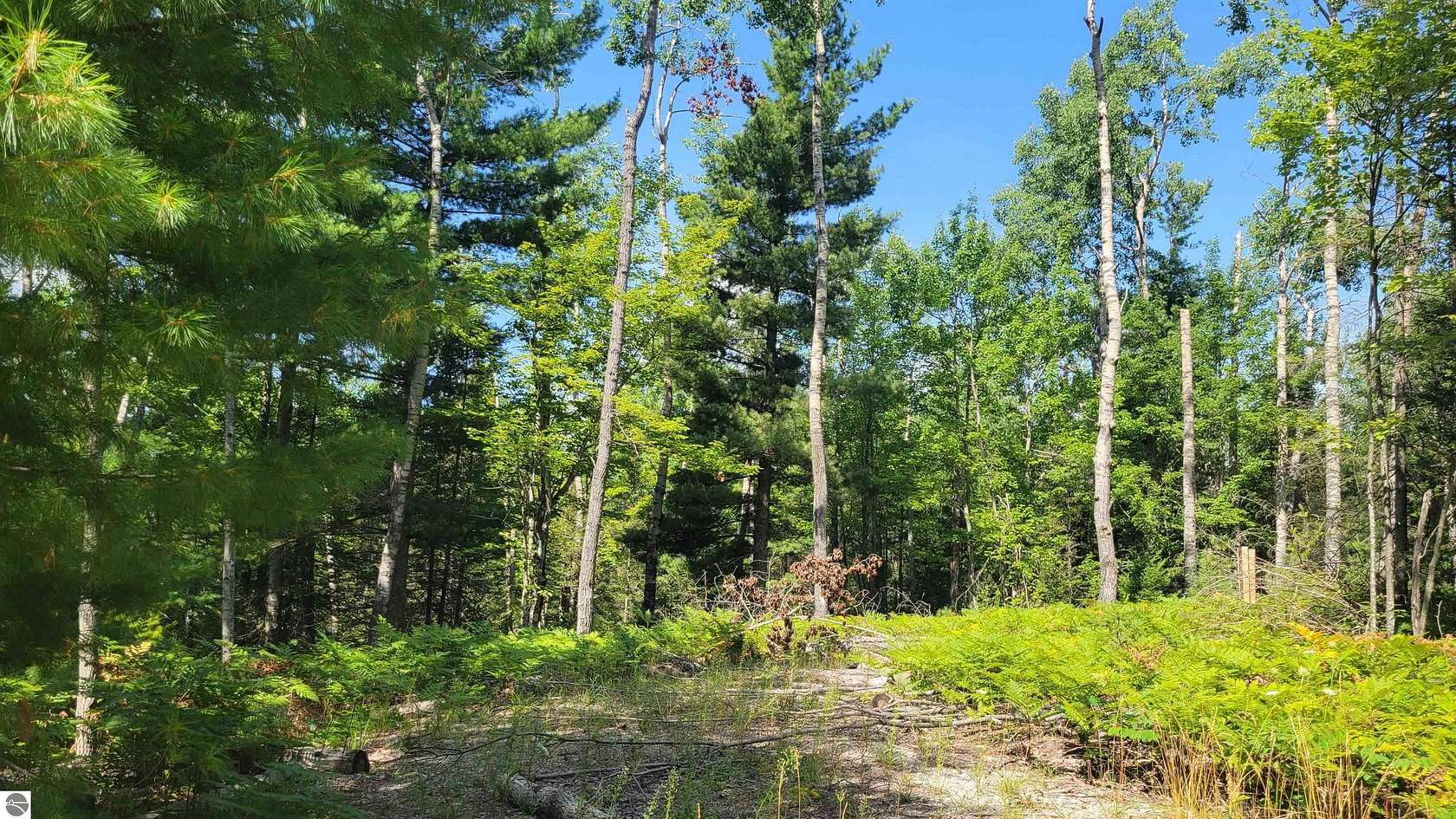 0.33 Acres of Land for Sale in Wolverine, Michigan