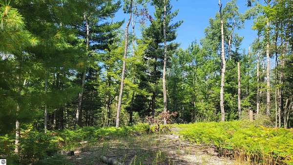 0.33 Acres of Land for Sale in Wolverine, Michigan