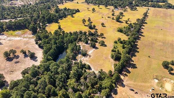 46.2 Acres of Land with Home for Sale in Grapeland, Texas