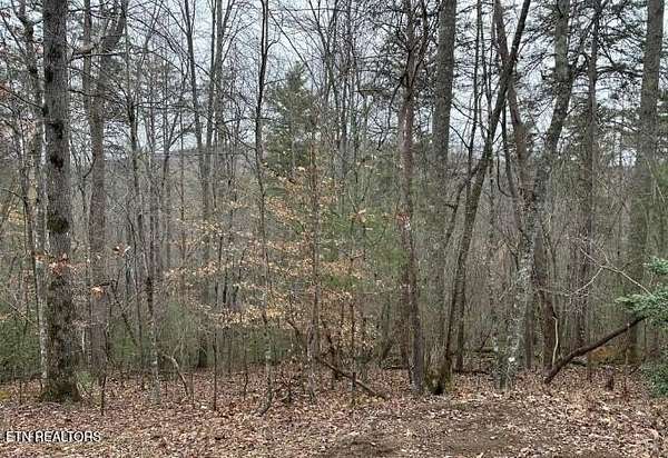 0.66 Acres of Residential Land for Sale in Fairfield Glade, Tennessee