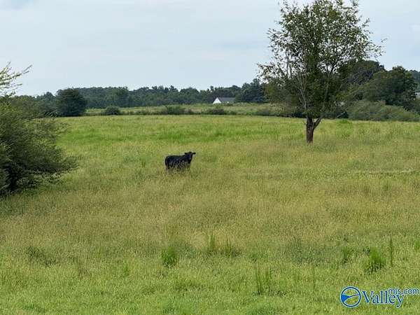 33 Acres of Land for Sale in Blountsville, Alabama