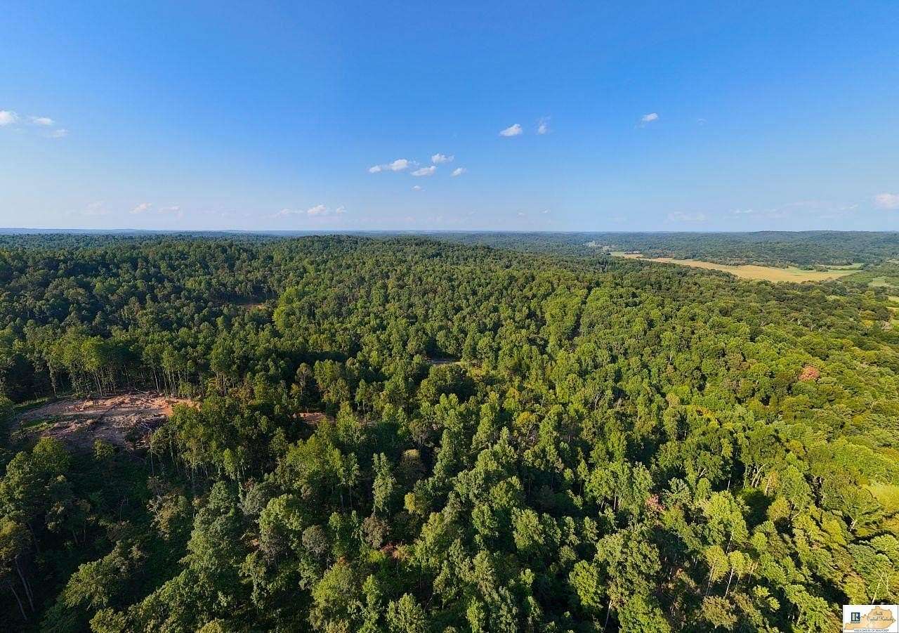 15.7 Acres of Recreational & Residential Land for Sale in Bonnieville, Kentucky