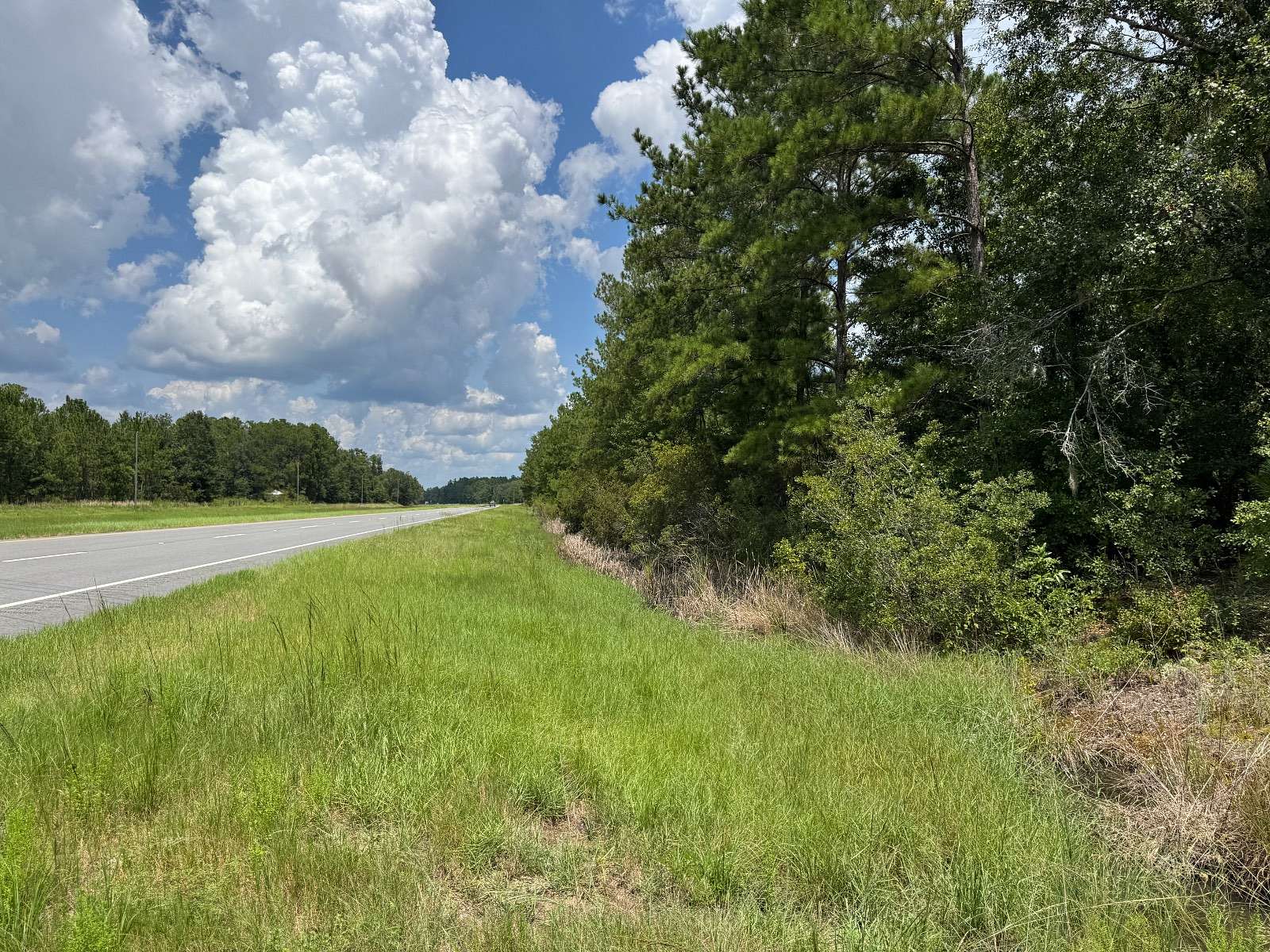 141 Acres of Land for Auction in Valdosta, Georgia