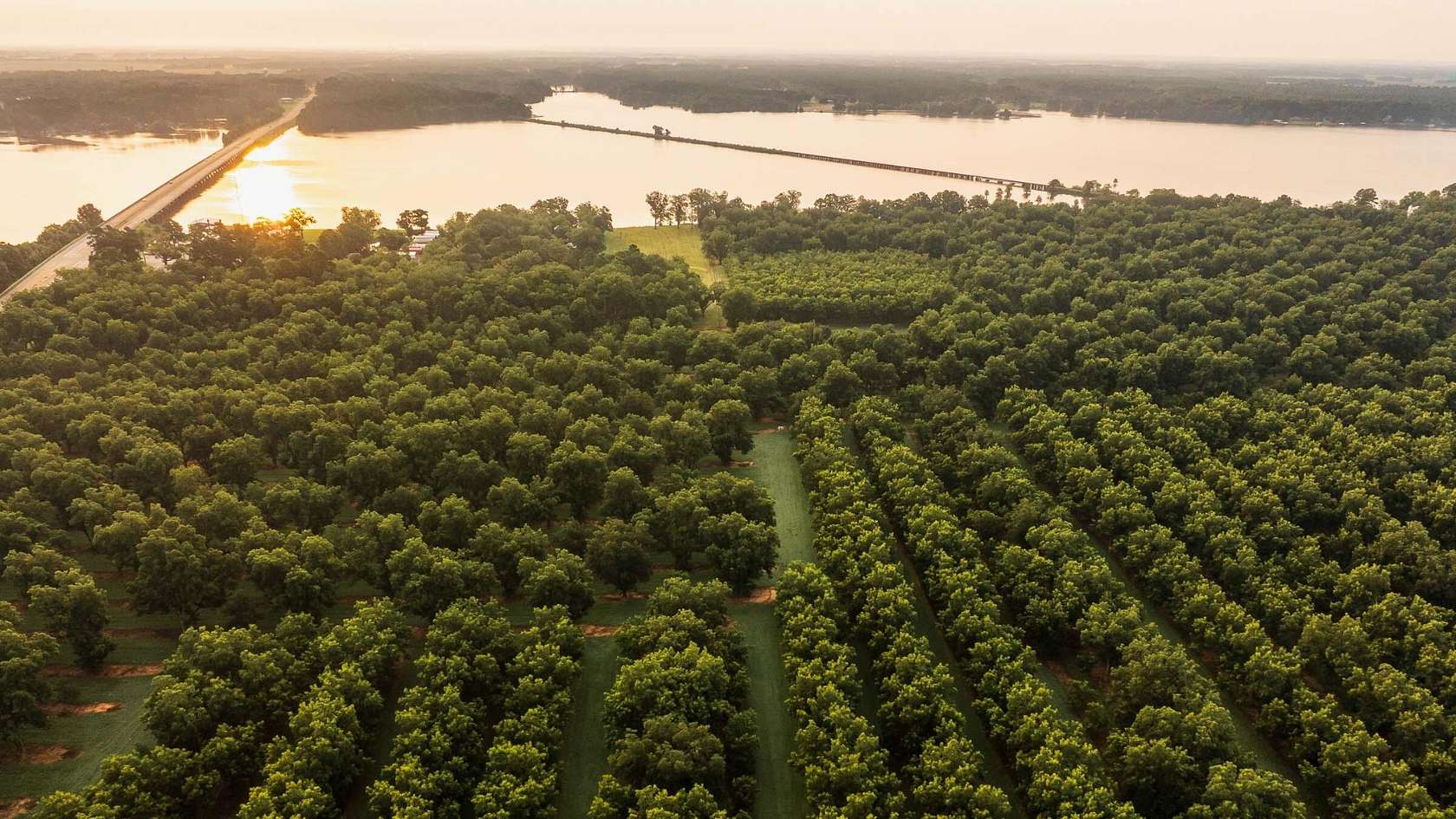 1,006 Acres of Land for Sale in Cobb, Georgia