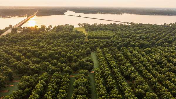 1,006 Acres of Land for Sale in Cobb, Georgia