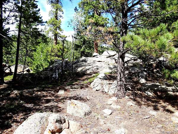 1 Acre of Land for Sale in Red Feather Lakes, Colorado