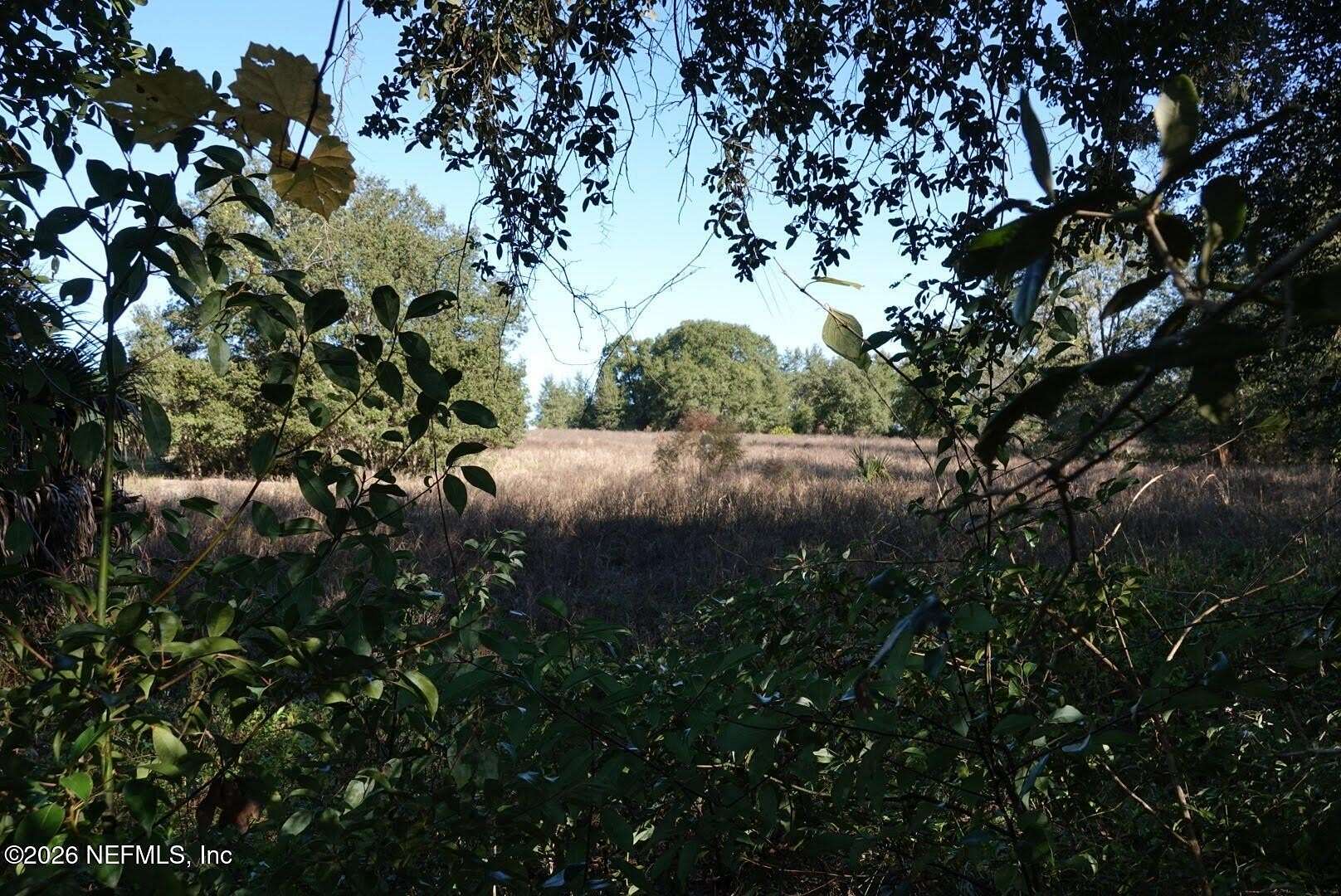 17 Acres of Land for Sale in Seville, Florida