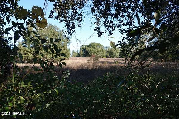 17 Acres of Land for Sale in Seville, Florida