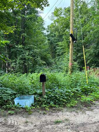 4.13 Acres of Land for Sale in Vanderbilt, Michigan