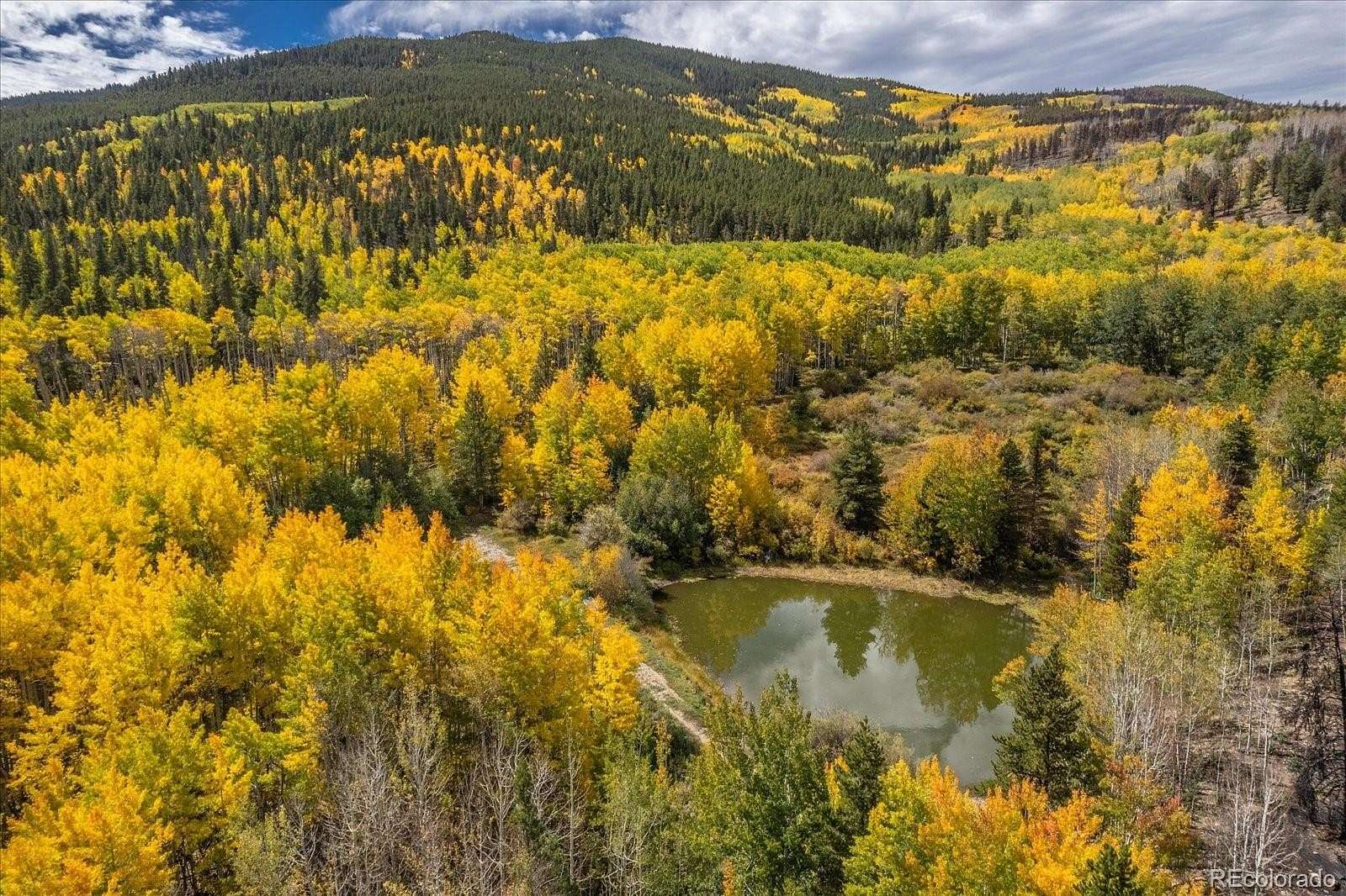 329 Acres of Land for Sale in Twin Lakes, Colorado