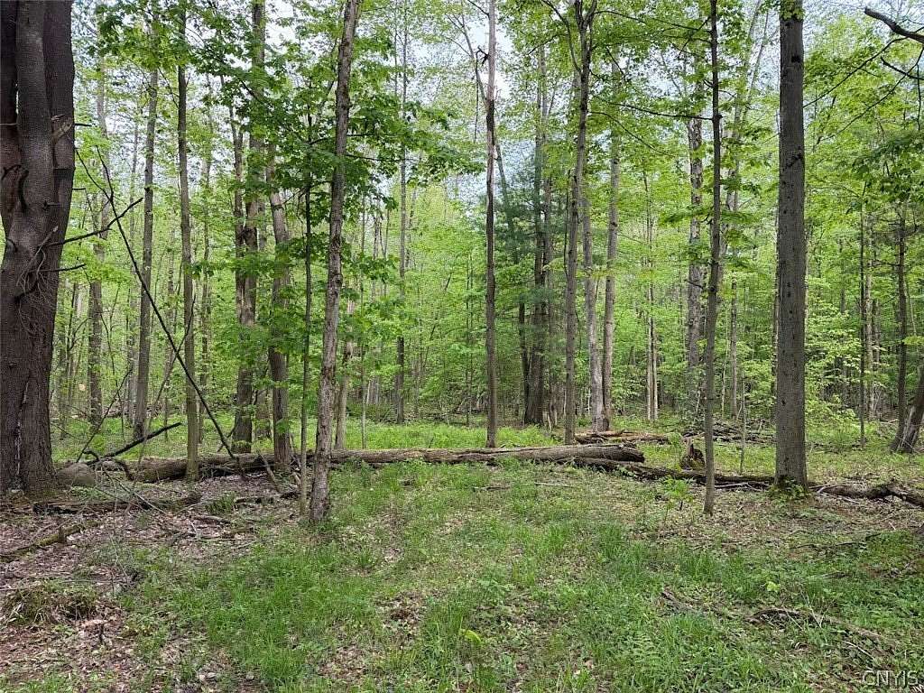 8.2 Acres of Land for Sale in South Dayton, New York