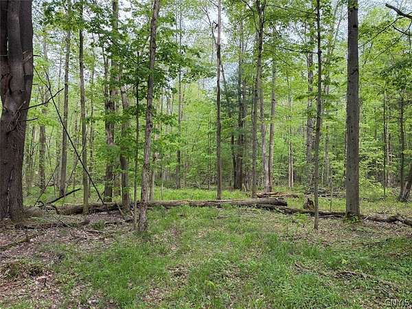 8.2 Acres of Land for Sale in South Dayton, New York