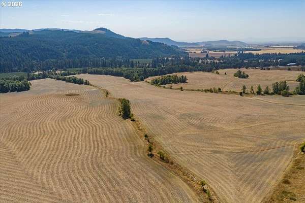 196 Acres of Agricultural Land for Sale in Brownsville, Oregon