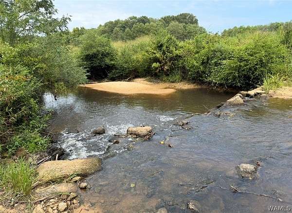 120 Acres of Recreational Land for Sale in Kennedy, Alabama