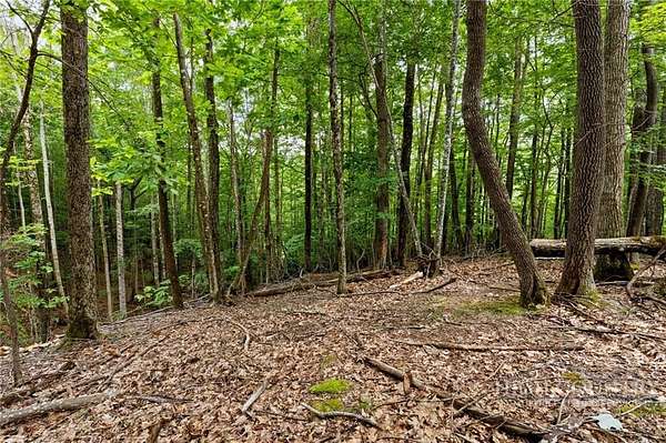 0.27 Acres of Residential Land for Sale in Beech Mountain, North Carolina