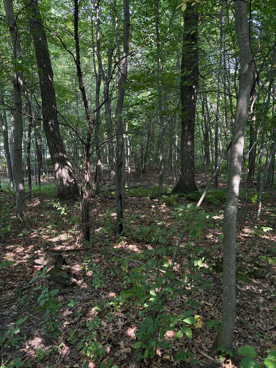 2 Acres of Residential Land for Sale in North Branch, Minnesota