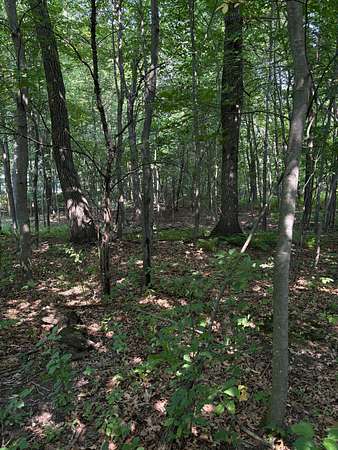 2 Acres of Residential Land for Sale in North Branch, Minnesota