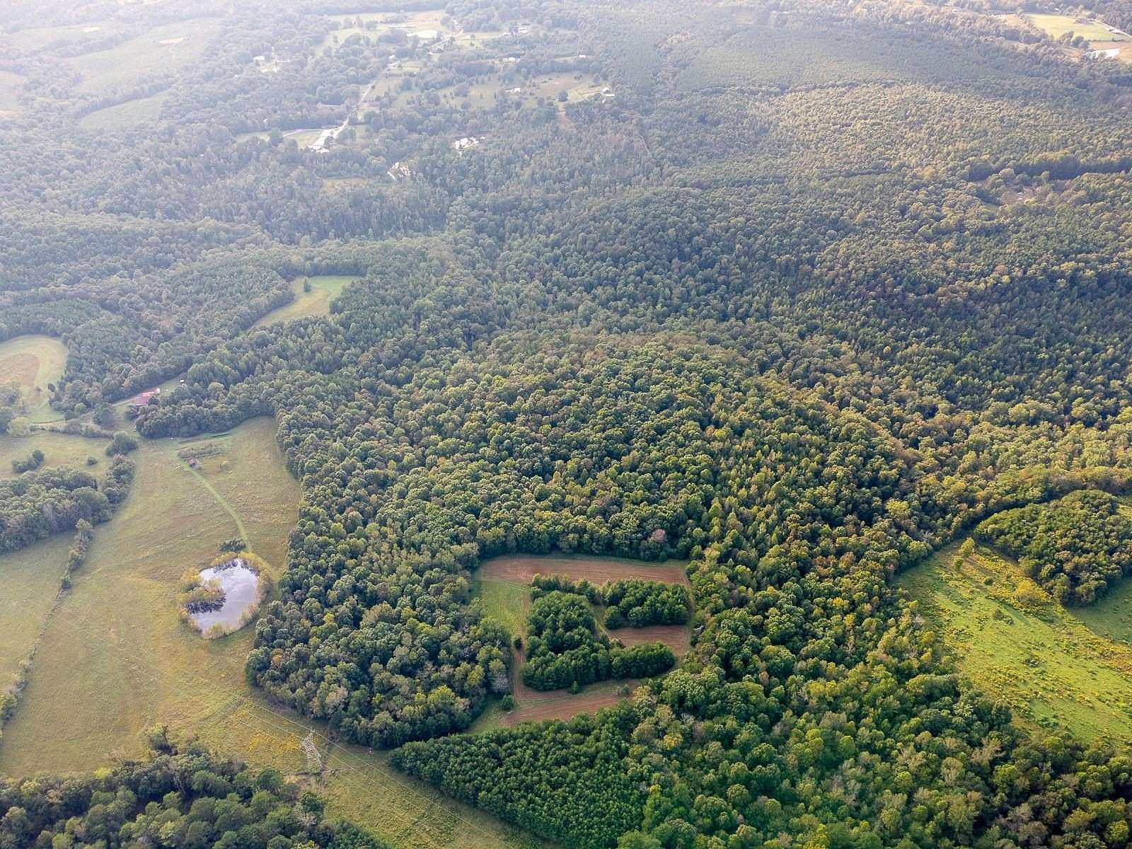 80 Acres of Recreational & Residential Land for Sale in Tuscumbia, Alabama
