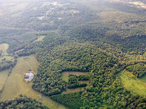 80 Acres of Recreational & Residential Land for Sale in Tuscumbia, Alabama