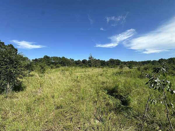 9 Acres of Land for Sale in Milton, Florida