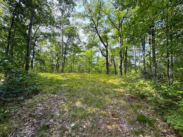 40 Acres of Recreational Land for Sale in Trego Town, Wisconsin