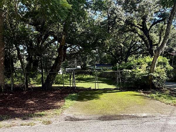 0.41 Acres of Residential Land for Sale in Lutz, Florida