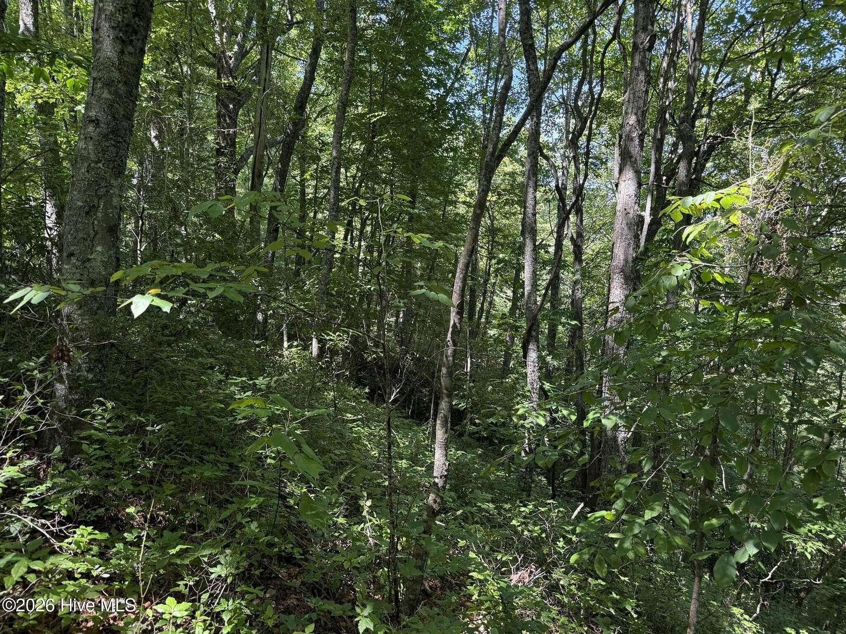 1 Acre of Residential Land for Sale in Topton, North Carolina