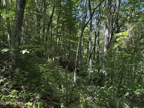 1 Acre of Residential Land for Sale in Topton, North Carolina