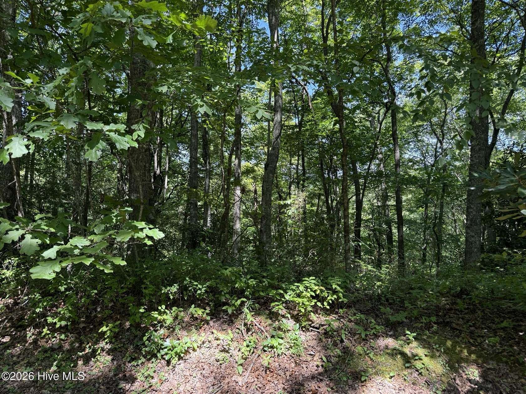 1 Acre of Residential Land for Sale in Topton, North Carolina