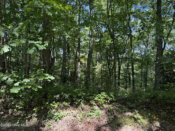 1 Acre of Residential Land for Sale in Topton, North Carolina