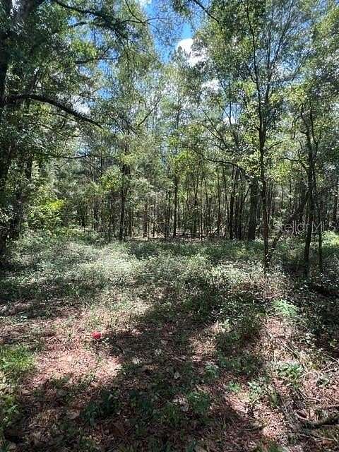 5.6 Acres of Mixed-Use Land for Lease in High Springs, Florida