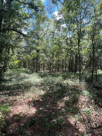 5.6 Acres of Mixed-Use Land for Lease in High Springs, Florida