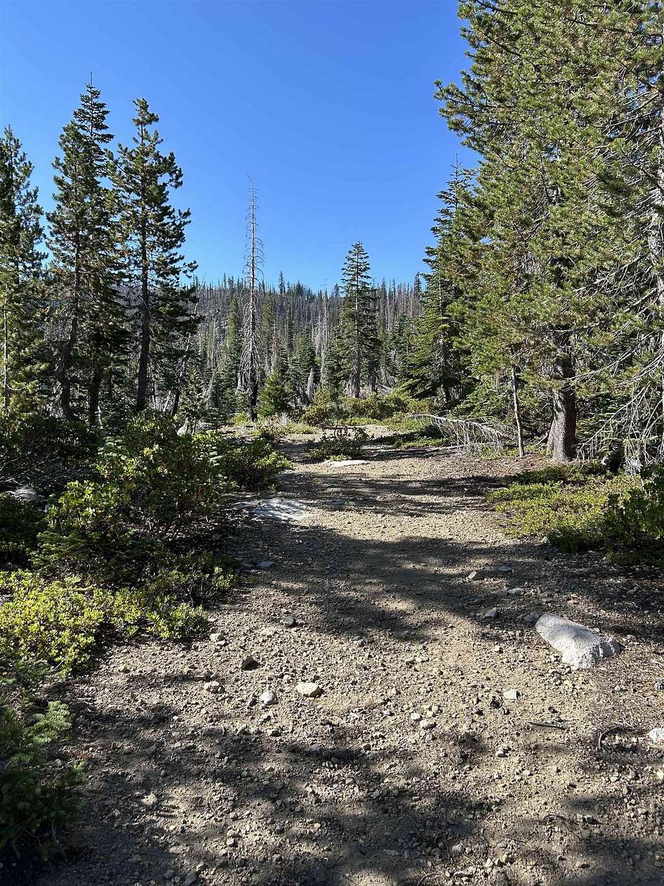 31.6 Acres of Land for Sale in Macdoel, California