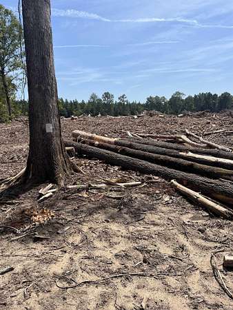 40 Acres of Recreational Land for Sale in Fordyce, Arkansas