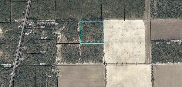 10.7 Acres of Land for Sale in Bell, Florida