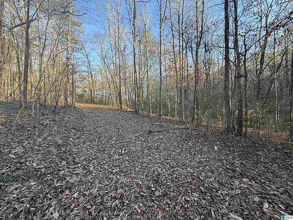 5.4 Acres of Land for Sale in Dora, Alabama
