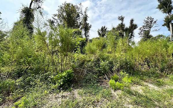 1.1 Acres of Land for Sale in Mayo, Florida