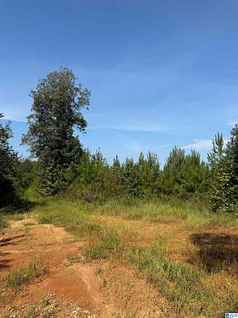 20 Acres of Recreational Land for Sale in York, Alabama