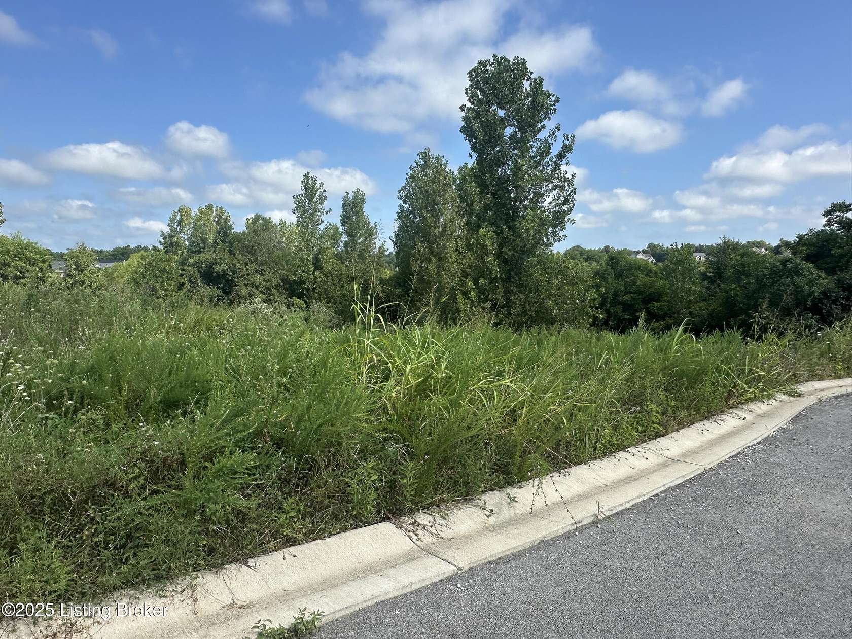 0.59 Acres of Residential Land for Sale in La Grange, Kentucky