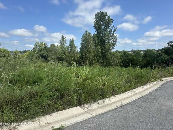 0.59 Acres of Residential Land for Sale in La Grange, Kentucky