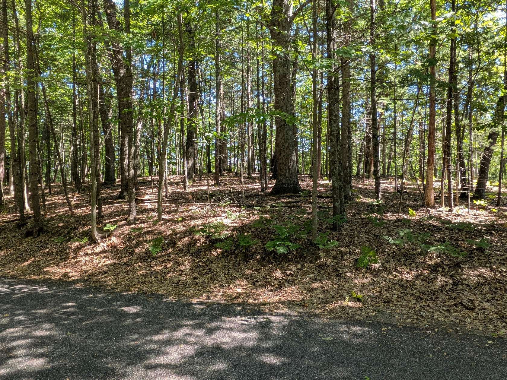 0.29 Acres of Residential Land for Sale in Pentwater, Michigan