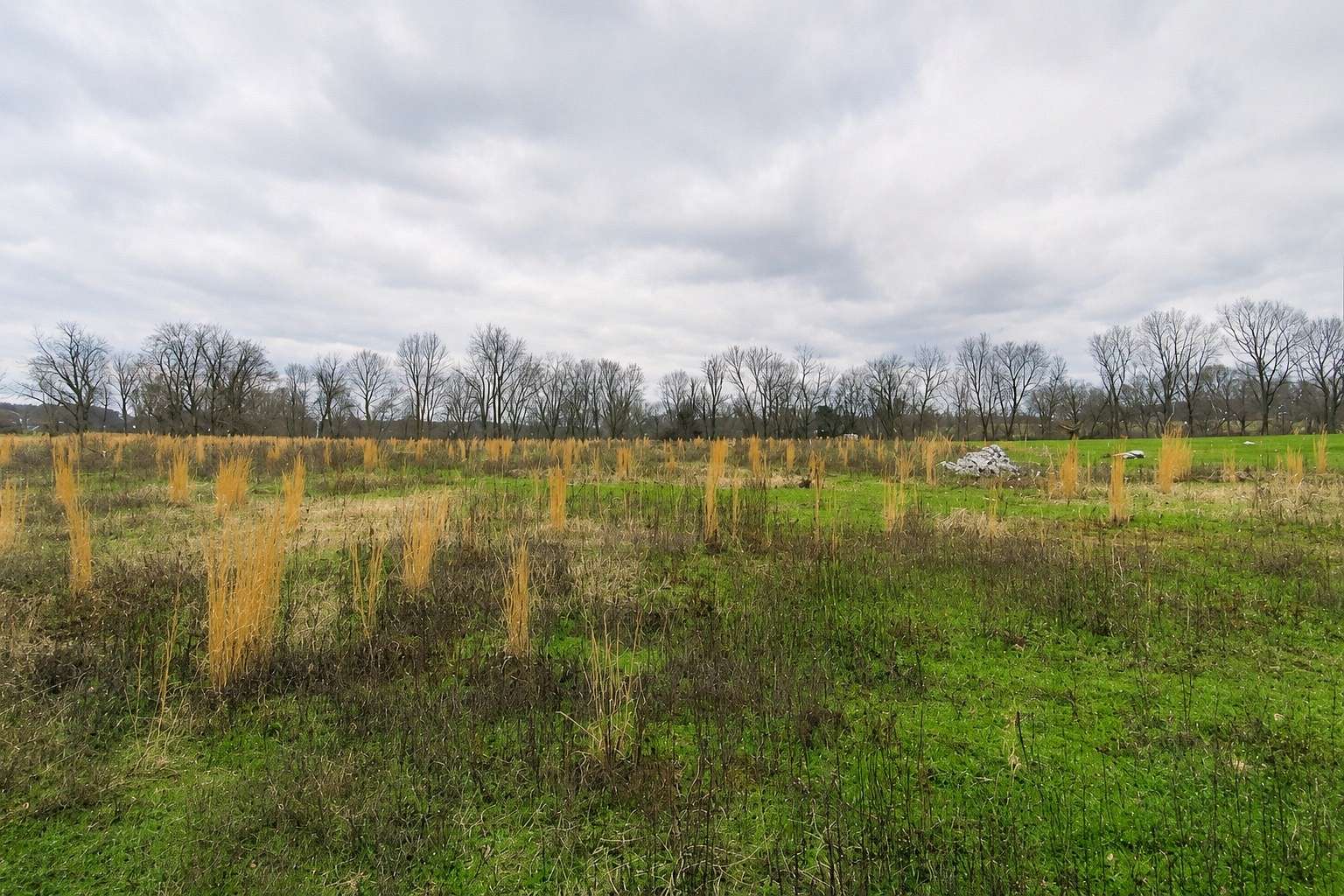 2.15 Acres of Residential Land for Sale in Westmoreland, Tennessee