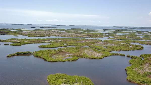 370 Acres of Recreational Land for Auction in Homosassa, Florida