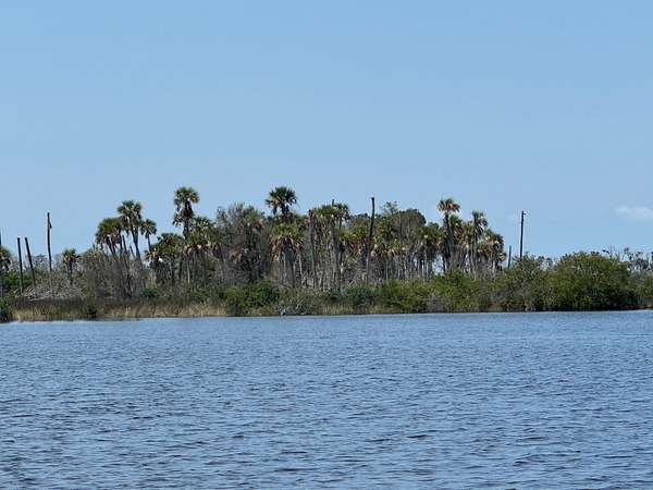 6.9 Acres of Land for Auction in Homosassa, Florida