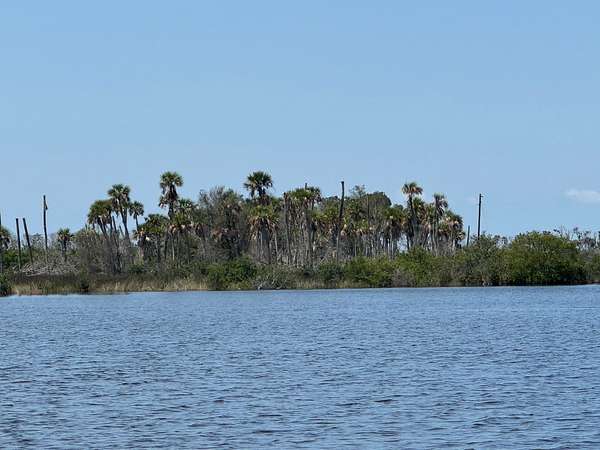 6.9 Acres of Land for Auction in Homosassa, Florida