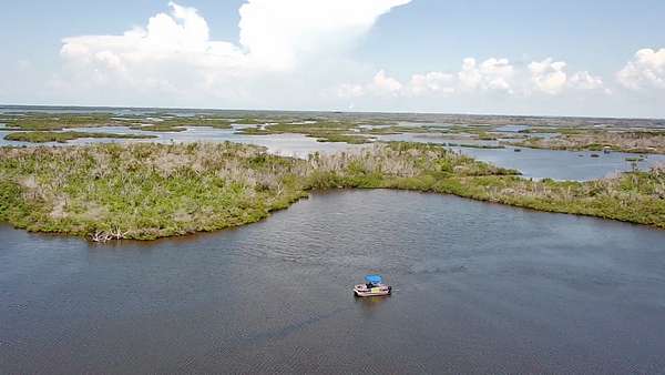 28.5 Acres of Recreational Land for Auction in Homosassa, Florida