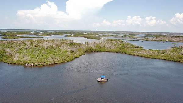 28.5 Acres of Recreational Land for Auction in Homosassa, Florida