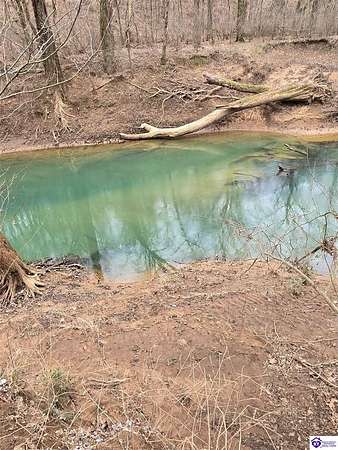 33 Acres of Recreational Land for Sale in Bowling Green, Kentucky