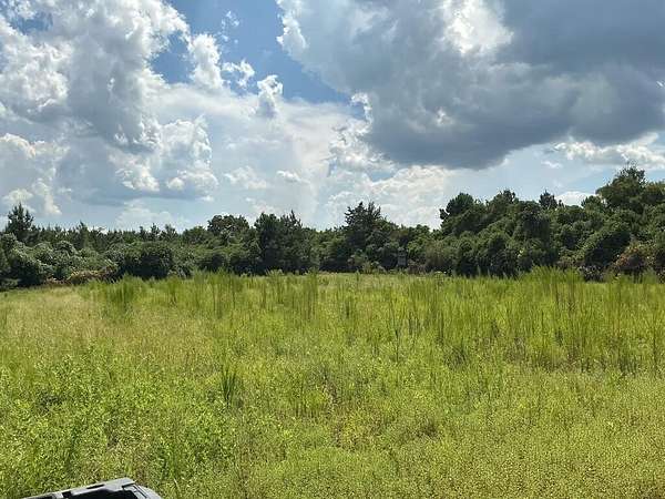 41 Acres of Recreational & Residential Land for Sale in Brantley, Alabama